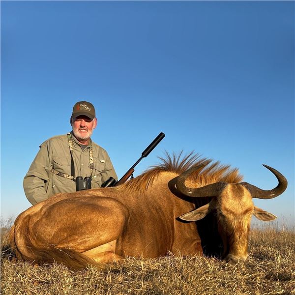 South Africa: 6 Day Plains Game for 2 Hunters + 1 Golden Wildebeest, 1 Waterbuck, 1 Blesbok & more!