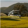 Image 1 : RSA: 5 Day unforgettable Golf & Game Experience for 4 players, Incudes golfing at 5 Golf Courses