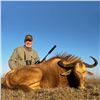 Image 1 : South Africa: 6 Day Plains Game for 2 Hunters / Includes 2 Blue Wildebeest, 2 Blesboks and more.