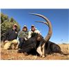 Image 4 : South Africa: 6 Day Plains Game for 2 Hunters / Includes 2 Blue Wildebeest, 2 Blesboks and more.
