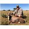 Image 5 : South Africa: 6 Day Plains Game for 2 Hunters / Includes 2 Blue Wildebeest, 2 Blesboks and more.