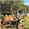 Image 1 : Argentina: 5 Day 4 Night Trophy Big Game Hunt for 1 Hunter, includes 1 Red Stag or 1 Buffalo.