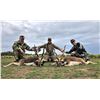 Image 5 : Argentina: 5 Day 4 Night Trophy Big Game Hunt for 1 Hunter, includes 1 Red Stag or 1 Buffalo.