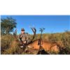 Image 8 : Argentina: 5 Day 4 Night Trophy Big Game Hunt for 1 Hunter, includes 1 Red Stag or 1 Buffalo.