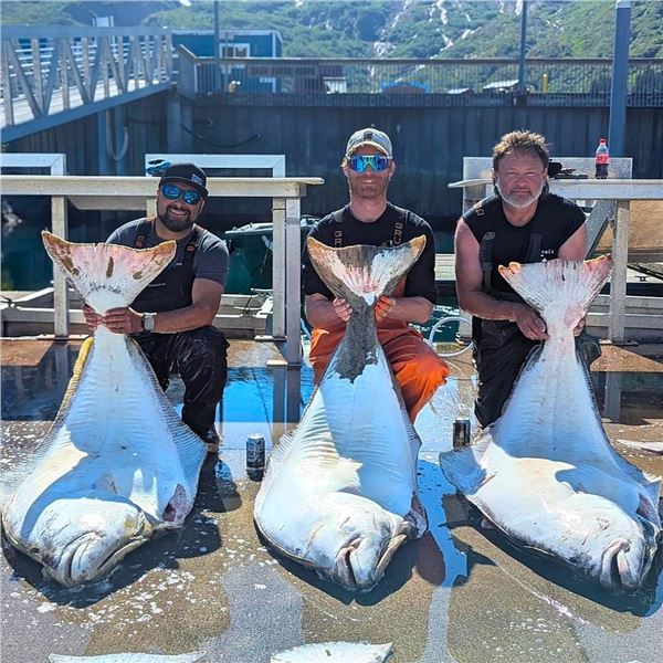 Alaska: Crazy Ray's Prince Willaim Sound Full Boat Charter for up to 6 anglers.