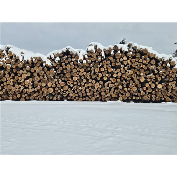 Michigan - Ten Pulp Cord of Firewood