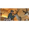 Image 1 : Nevada - Trophy Room Taxidermy Cleaning