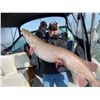 Image 1 : Ontario, Canada– 1 Day – Muskie Fishing Charter for up to Four Anglers