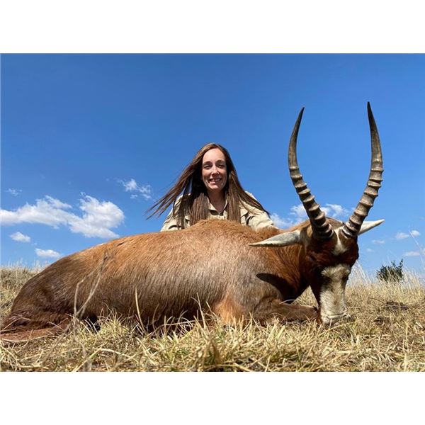 South Africa – 8 Day – Plains Game Safari for Two Hunters and Two Non-Hunters