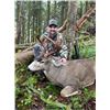 Image 1 : *British Columbia 5 Day – Columbia Black Tail Deer Hunt for One Hunter