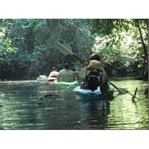 *Belize – 6-days/5-nights Fishing and Jungle Experience