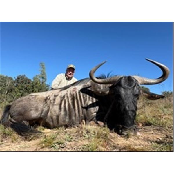 *South Africa - 7 Day – Plains Game Safari for Two Hunters and Two Non-hunters