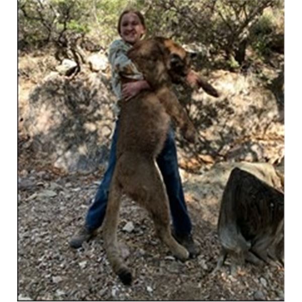 *Arizona - 5 Day Mountain Lion Hunt for One Hunter
