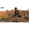 Image 1 : *Mexico – 6 Day – Coues Deer Hunt for One Hunter