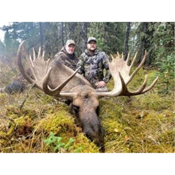 Alberta – 10 Day - Moose and Wolf Hunt for One Hunter