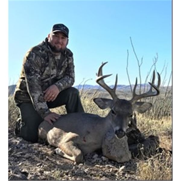 Arizona – 5 Day – Coues Deer Hunt for Two Hunters (With Free Mt. Lion Bonus)