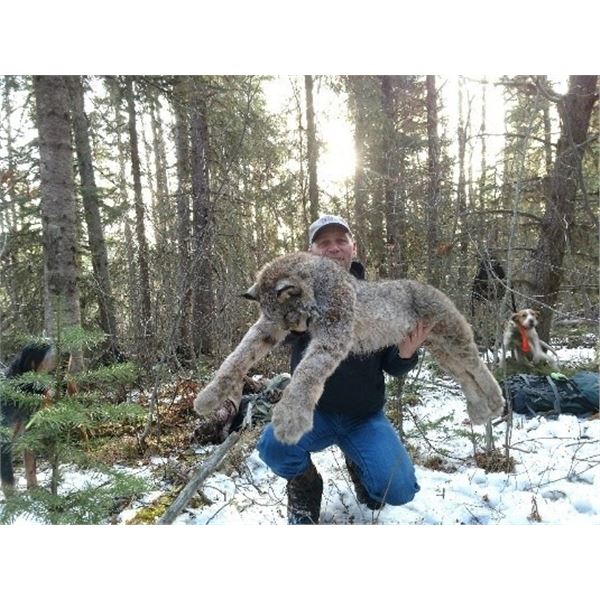 *British Columbia – 5Day – Canadian Lynx Hunt for One Huner and One Non-hunter