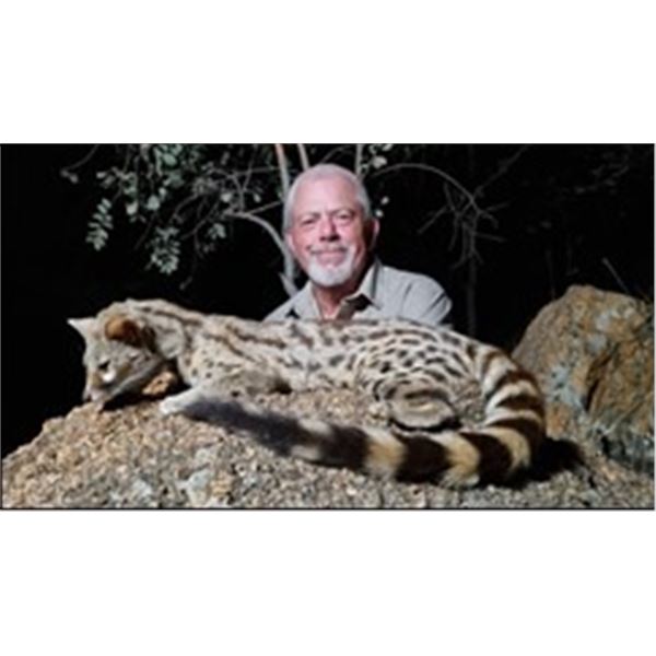 *South Africa – 7 Day – Genet Cat, Civet Cat and Black Back Jackal for One Hunter 