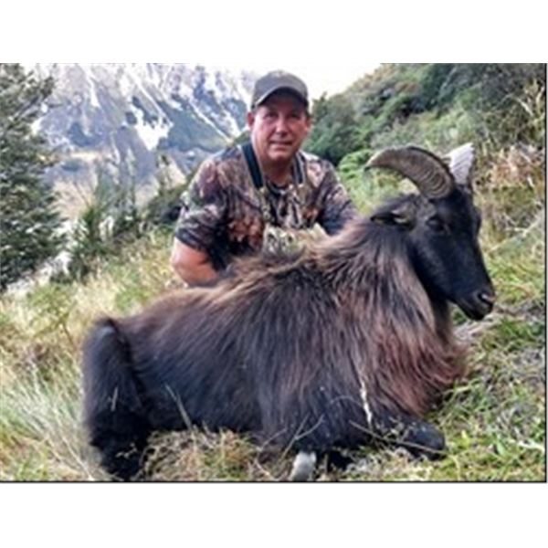 New Zealand – 5 Day – Tahr Hunt for Two Hunters
