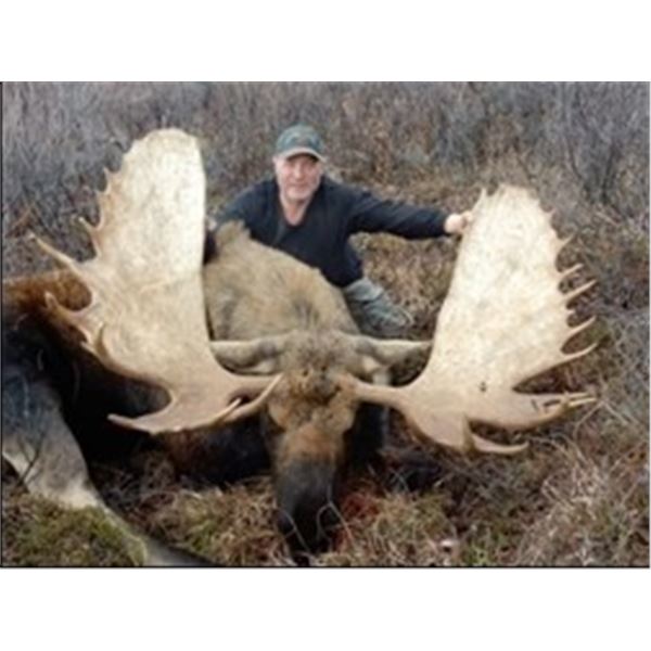 British Columbia – 10 Day – Canadian Moose Hunt for One Hunter
