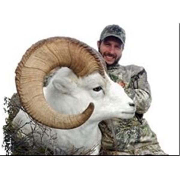 Yukon – 12 Day – Dall Sheep, Wolf and Wolverine Hunt for One Hunter