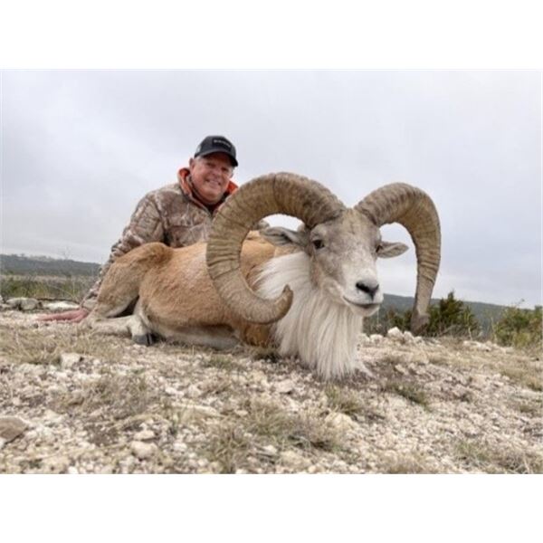 Texas – 4 Day/5 Night – SAMM Hunt Combo for Two Hunters