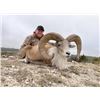 Image 1 : Texas – 4 Day/5 Night – SAMM Hunt Combo for Two Hunters