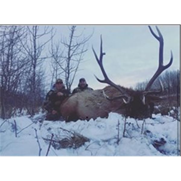 *Alberta - 8 Day - Rocky Mountain Elk  and Wolf Hunt for One