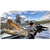Image 1 : *Florida – 3-Day - Alligator and Hog Hunt for Two Hunters
