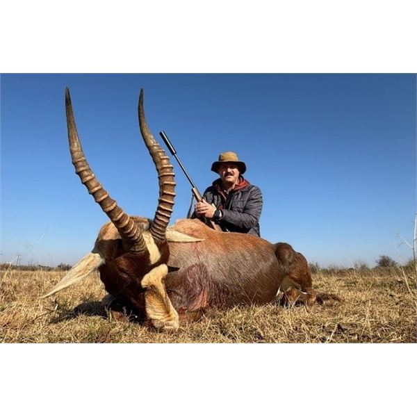 *South Africa- 7 Day – Black Wildebeest, Blesbuck, Springbuck, and Black Back Jackal for Fo