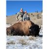 Image 1 : Colorado -2 Day – Free Range Bison Hunt for One Hunter