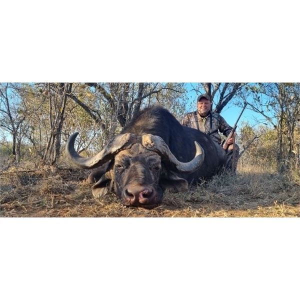 *South Africa – 7 Day – Cape Buffalo Hunt for One Hunter and One Non-hunter