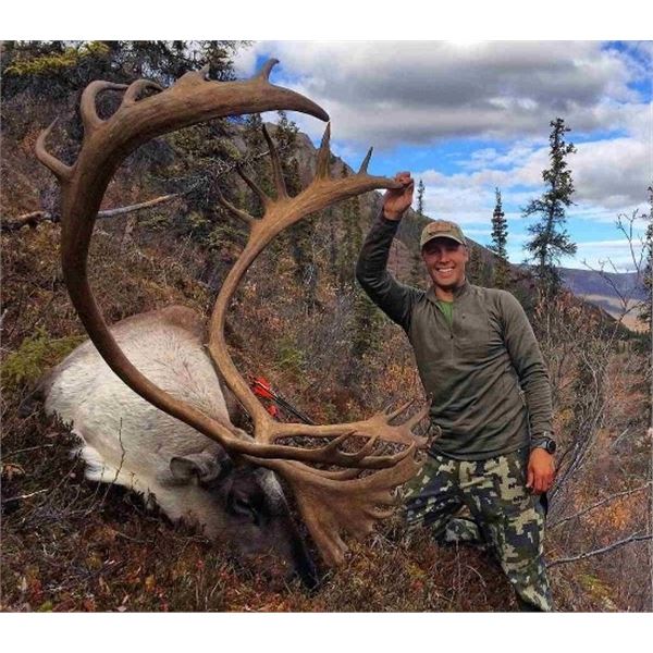 Yukon – 10 Day - Mountain Caribou Hunt for One Hunter