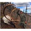 Image 1 : Yukon – 10 Day - Mountain Caribou Hunt for One Hunter