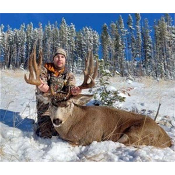 *Alberta – 6 Day – Mule Deer Hunt for One Hunter