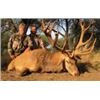Image 1 : Argentina – 5 Day – Red Stag for Four to Six Hunters
