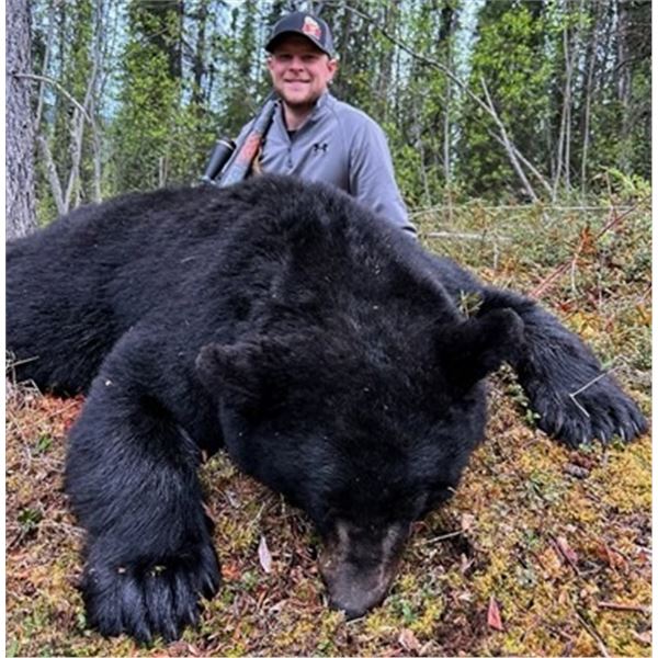 Yukon - 6 Day Black Bear Hunt for Two Hunters