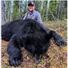 Image 1 : Yukon - 6 Day Black Bear Hunt for Two Hunters