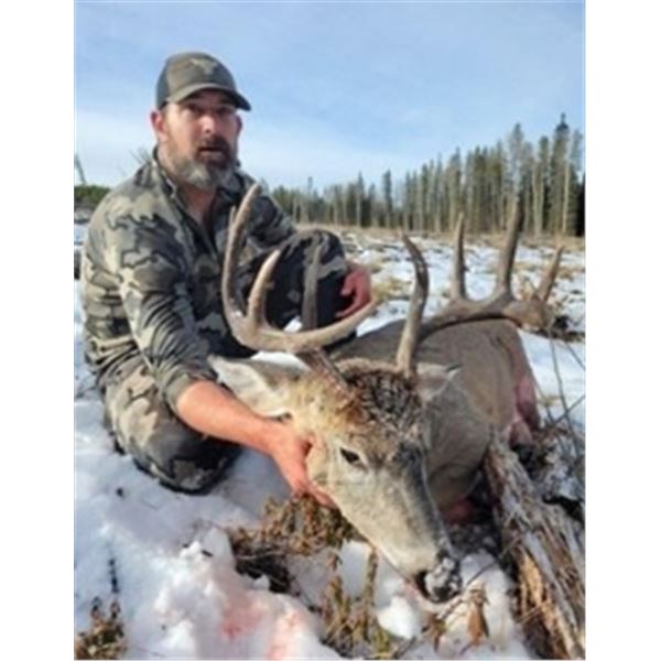 *Alberta – 6 Day - Whitetail Hunt for One Hunter