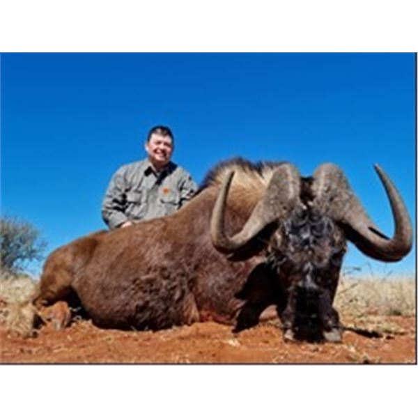 *South Africa – 7 Day – Trophy Fee Credit for Two Hunters and Two Non-hunters