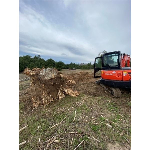Michigan – Two-hour Forestry Mulching