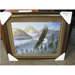 Framed Print "eagle"