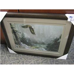 Framed Print "eagle"