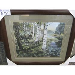 Framed Print "moose"