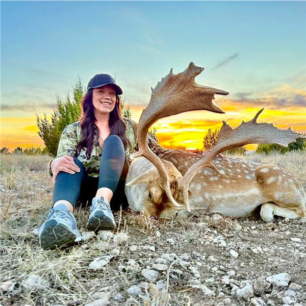 2 Day 2 Night Fallow Buck Hunt in Texas 1 Hunter & 1 Non-Hunter