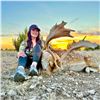 Image 1 : 2 Day 2 Night Fallow Buck Hunt in Texas 1 Hunter & 1 Non-Hunter