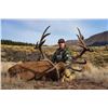 Image 1 : 4 Day New Zealand  Red Stag, Tahr & Chamois Hunt