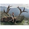 Image 6 : 4 Day New Zealand  Red Stag, Tahr & Chamois Hunt