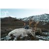 Image 7 : 4 Day New Zealand  Red Stag, Tahr & Chamois Hunt
