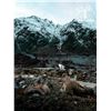 Image 8 : 4 Day New Zealand  Red Stag, Tahr & Chamois Hunt